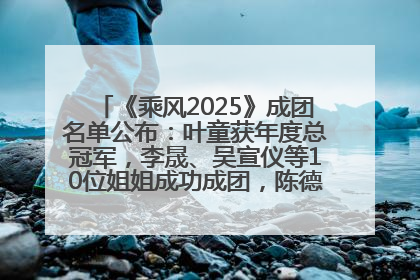 《乘风2025》成团名单公布：叶童获年度总冠军，李晟、吴宣仪等10位姐姐成功成团，陈德容获年度高光人物