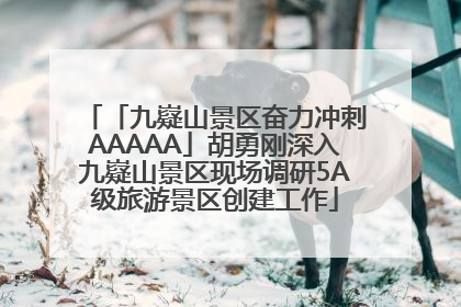 「九嶷山景区奋力冲刺AAAAA」胡勇刚深入九嶷山景区现场调研5A级旅游景区创建工作