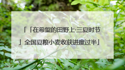 「在希望的田野上·三夏时节」全国夏粮小麦收获进度过半