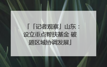 「记者观察」山东：设立重点帮扶基金 破题区域协调发展