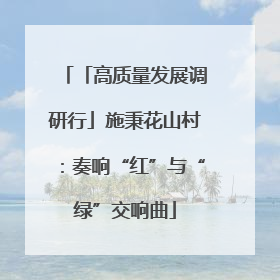 「高质量发展调研行」施秉花山村：奏响“红”与“绿”交响曲