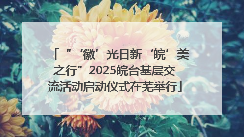 “‘徽’光日新‘皖’美之行”2025皖台基层交流活动启动仪式在芜举行