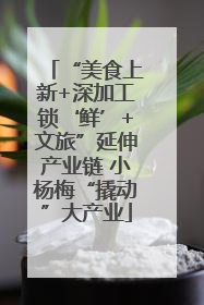 “美食上新+深加工锁‘鲜’+文旅”延伸产业链 小杨梅“撬动”大产业
