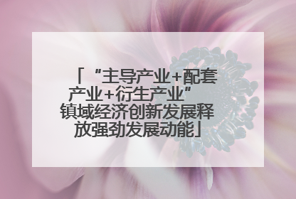 “主导产业+配套产业+衍生产业” 镇域经济创新发展释放强劲发展动能