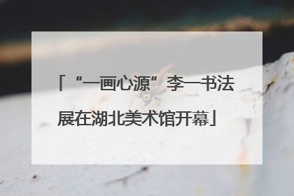 “一画心源”李一书法展在湖北美术馆开幕