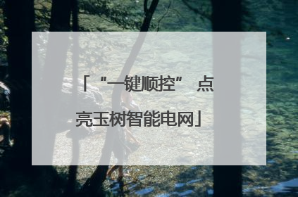 “一键顺控” 点亮玉树智能电网