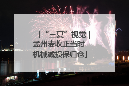 “三夏”视觉｜孟州麦收正当时 机械减损保归仓