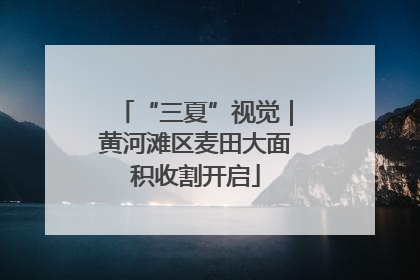“三夏”视觉｜黄河滩区麦田大面积收割开启