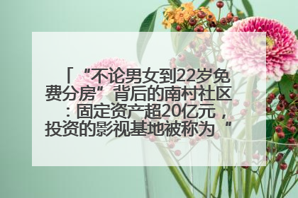 “不论男女到22岁免费分房”背后的南村社区：固定资产超20亿元，投资的影视基地被称为“山村好莱坞”