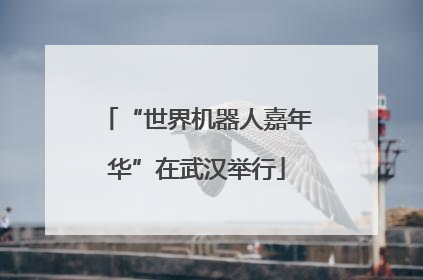 “世界机器人嘉年华”在武汉举行