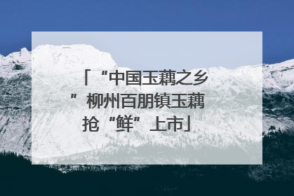“中国玉藕之乡”柳州百朋镇玉藕抢“鲜”上市