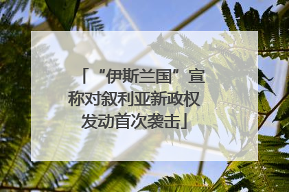 “伊斯兰国”宣称对叙利亚新政权发动首次袭击