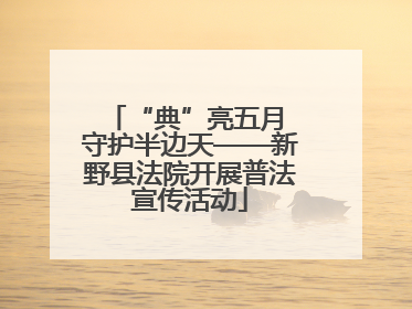 “典”亮五月 守护半边天——新野县法院开展普法宣传活动