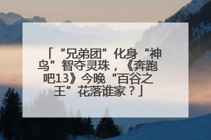 “兄弟团”化身“神鸟”智夺灵珠，《奔跑吧13》今晚“百谷之王”花落谁家？