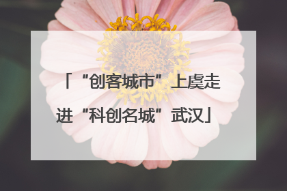 “创客城市”上虞走进“科创名城”武汉