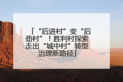 “后进村”变“后劲村”！胜利村探索走出“城中村”转型治理新路径