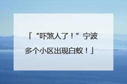 “吓煞人了！”宁波多个小区出现白蚁！