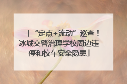 “定点+流动”巡查！冰城交警治理学校周边违停和校车安全隐患