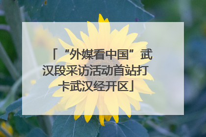 “外媒看中国”武汉段采访活动首站打卡武汉经开区