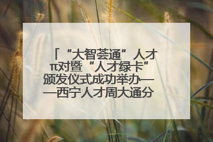 “大智荟通”人才π对暨“人才绿卡”颁发仪式成功举办——西宁人才周大通分会场亮点纷呈