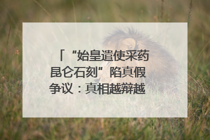 “始皇遣使采药昆仑石刻”陷真假争议：真相越辩越明｜新京报专栏
