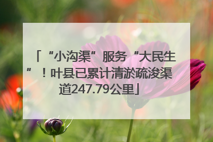 “小沟渠”服务“大民生”！叶县已累计清淤疏浚渠道247.79公里