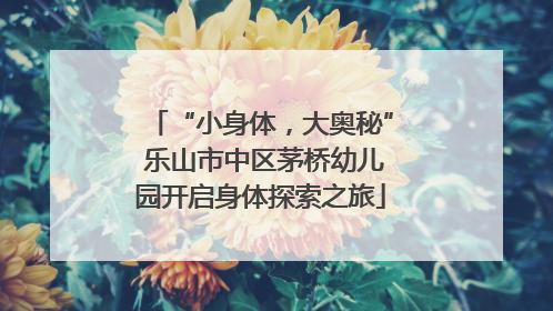 “小身体，大奥秘” 乐山市中区茅桥幼儿园开启身体探索之旅