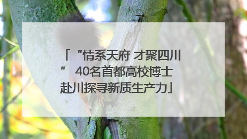 “情系天府 才聚四川” 40名首都高校博士赴川探寻新质生产力
