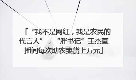 “我不是网红，我是农民的代言人”，“胖书记”王杰直播间每次助农卖货上万元