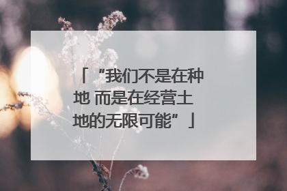 “我们不是在种地 而是在经营土地的无限可能”