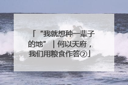 “我就想种一辈子的地”｜何以天府，我们用粮食作答②