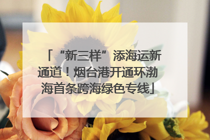 “新三样”添海运新通道！烟台港开通环渤海首条跨海绿色专线