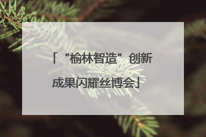 “榆林智造”创新成果闪耀丝博会