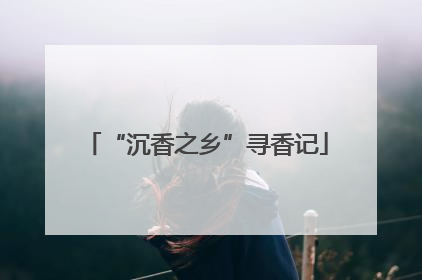 “沉香之乡”寻香记