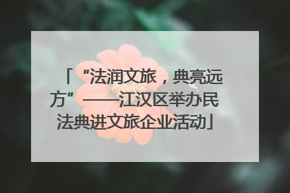 “法润文旅，典亮远方”——江汉区举办民法典进文旅企业活动