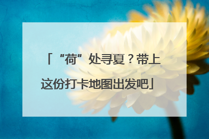 “荷”处寻夏？带上这份打卡地图出发吧