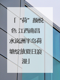 “荷”颜悦色 江西南昌水岚洲半岛荷塘绽放夏日浪漫