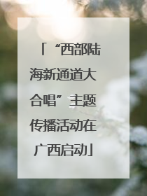 “西部陆海新通道大合唱”主题传播活动在广西启动