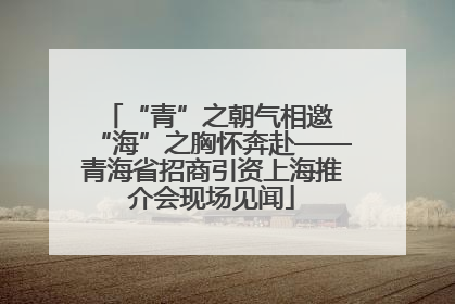 “青”之朝气相邀 “海”之胸怀奔赴——青海省招商引资上海推介会现场见闻