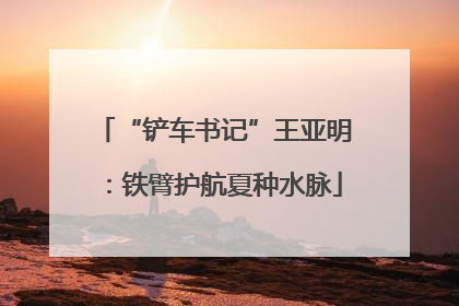 “铲车书记”王亚明：铁臂护航夏种水脉