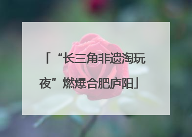 “长三角非遗淘玩夜”燃爆合肥庐阳