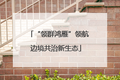 “领群鸿雁”领航边境共治新生态