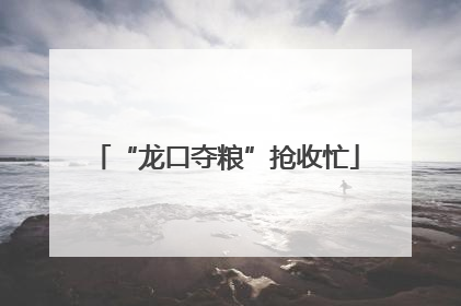 “龙口夺粮”抢收忙