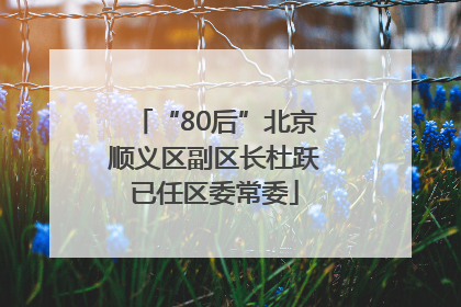 “80后”北京顺义区副区长杜跃已任区委常委