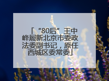 “80后”王中峰履新北京市委政法委副书记，原任西城区委常委