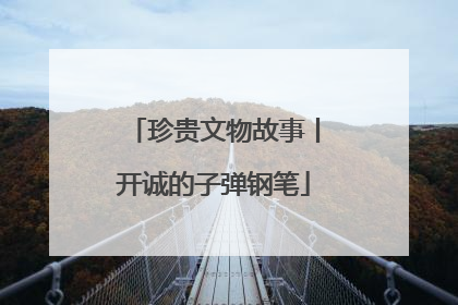 珍贵文物故事丨开诚的子弹钢笔