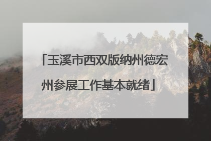 玉溪市西双版纳州德宏州参展工作基本就绪