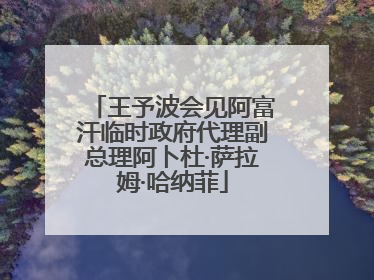 王予波会见阿富汗临时政府代理副总理阿卜杜·萨拉姆·哈纳菲