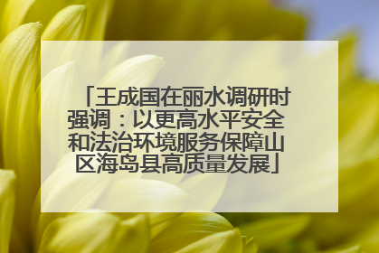 王成国在丽水调研时强调：以更高水平安全和法治环境服务保障山区海岛县高质量发展