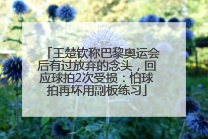 王楚钦称巴黎奥运会后有过放弃的念头，回应球拍2次受损：怕球拍再坏用副板练习
